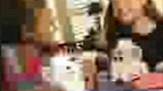 Furby commercial (15-second variant No. 1, 1998)