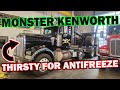 This Monster Kenworth is Thirsty for Coolant. Cat C15 in a Big Logging Truck.