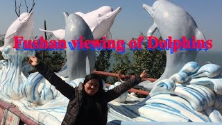 #HIKING ADVENTURE #FUSHAN VIEWING POINT OF DOLPHINS#