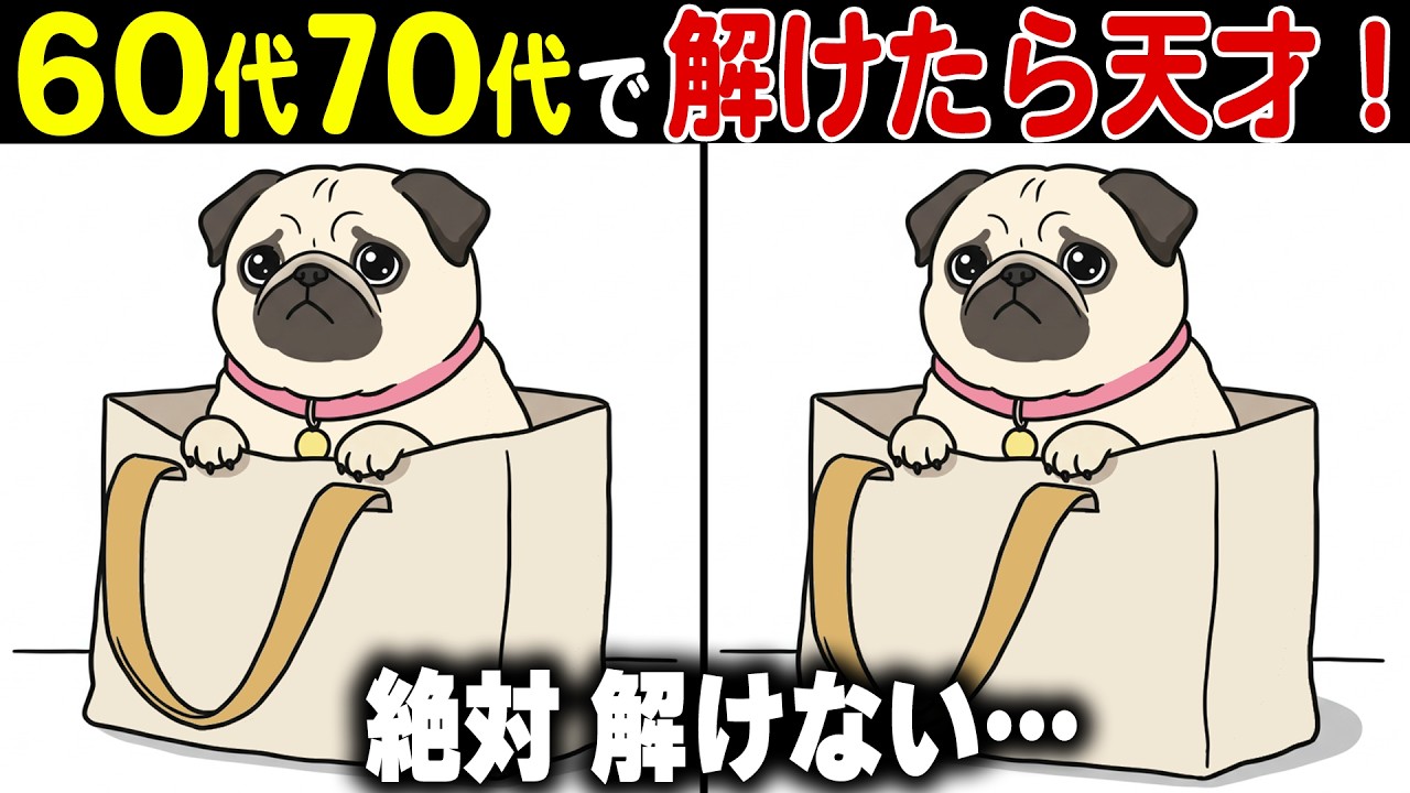 【間違い探し脳トレ】60代70代の脳を健康にする効果的な頭の体操クイズ！【認知症予防/老化予防/物忘れ/記憶力】