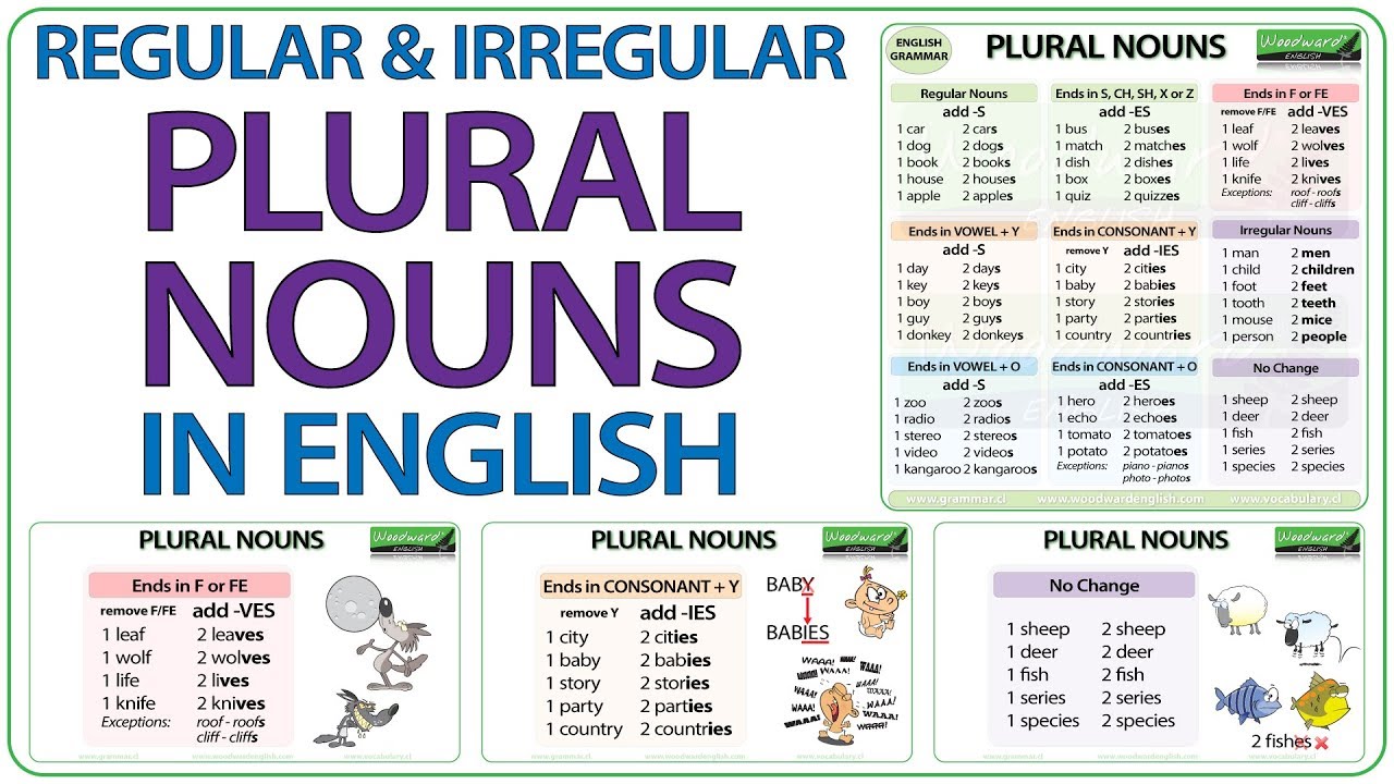 Plural Nouns in English - Regular \u0026 Irregular Plurals