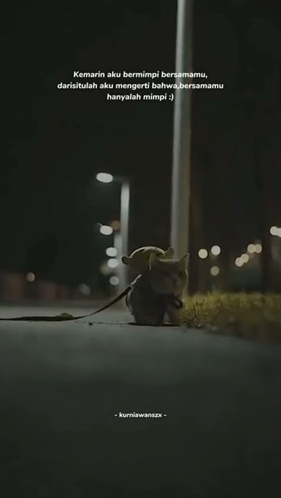 Hanya mimpi #shorts #statuswhatsapp #status #statuswa