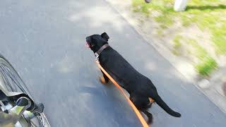 Konditionstraining Am Rad