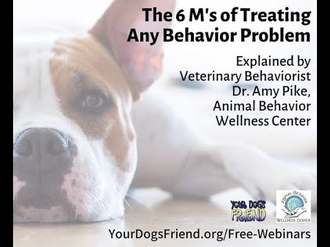The 6 M’s of treating any behavior problem – veterinary behaviorist Dr. Amy Pike 10-16-21