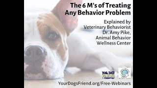 The 6 M’s of treating any behavior problem – veterinary behaviorist Dr. Amy Pike 101621