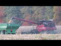 Harvest 2020 | Case IH 8250 Combine Harvesting Corn | Corn Harvest 2020