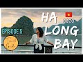 HA LONG BAY Vietnam 2020 | Complete Travel Guide | ONE DAY CRUISE Hanoi to #Halong Bay