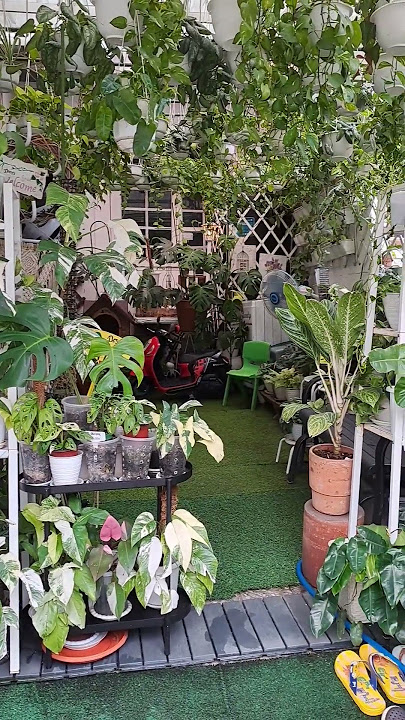 Tips Menata Pot Tanaman Hias di Teras Rumah Agar Terlihat Rapi