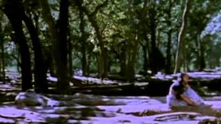 Kunguma Chimizh - Mohan, Ilavarasi, Revathi - Tamil Super Hit Movie