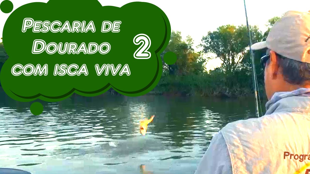 Pescaria de Dourado com isca viva em Porto Repesque - AR - bloco 2