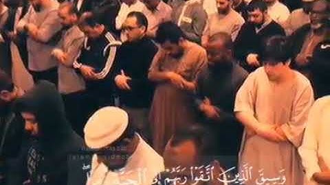 وَسِيقَ الَّذِينَ اتَّقَوْا رَبَّهُمْ إِلَى الْجَنَّةِ زُمَرًا [سورة الزمر:73، 74]