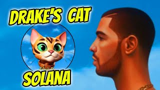 Next BIG Solana Memecoin Cat!?