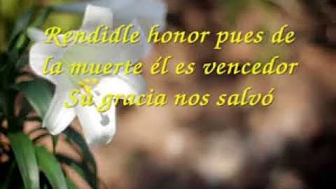 Alabanza - 5 Mosaico de Alabanza por Greg y Gail S...