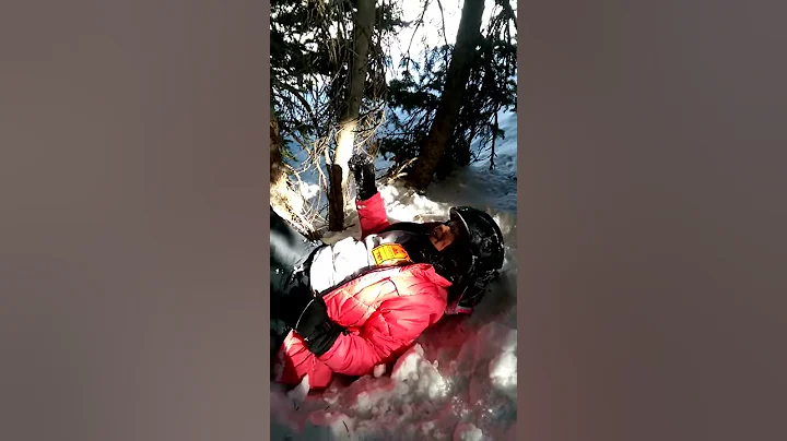 7 year old stuck in the trees!