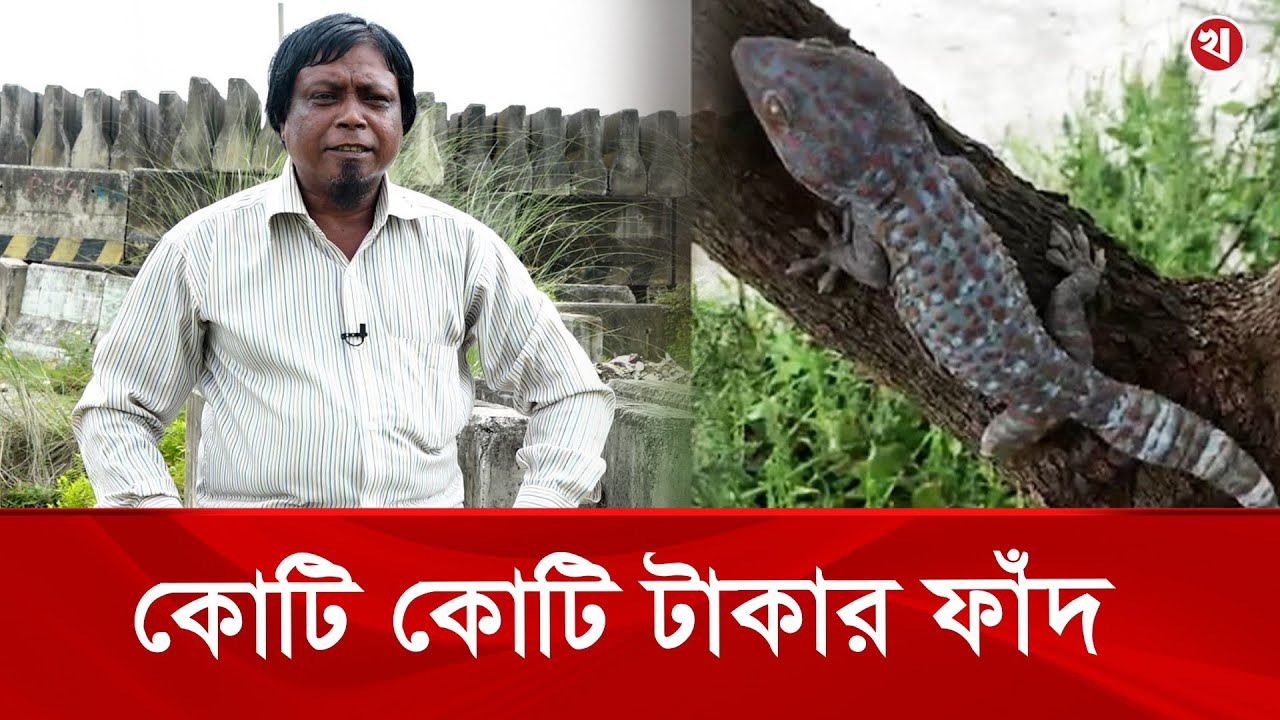 তক্ষক ফাঁদে ঘর-বাড়ি সব হারিয়েছেন রফিকুল, শোনালেন ভয়ংকর গল্প