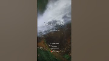 ولكم نصف ما ترك أزواجكم إن لم يكن لهن ولد سورة النساء#احمد_النفيس#تلاوة_خاشعة#قرآن #مشاري_العفاسي