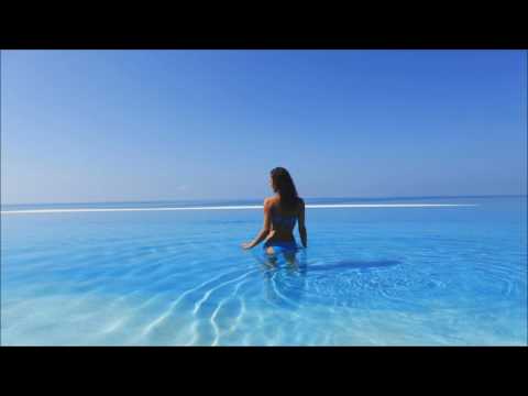 DVBBS - Never