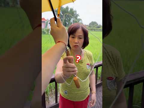 자동으로 따라다니는 우산 만들어 드렸더니… #shorts #정선호 #funny 올해는 부디 <strong>태풍피해</strong> 없이 무사히 지나가길🫶🏼