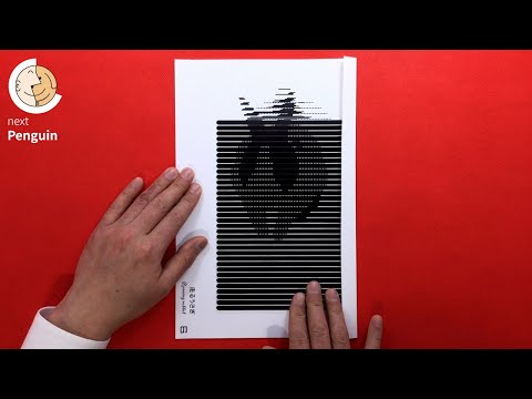 Animated optical illusions [Rabbit, Penguin, Bowling, Helicopter, Dolphin, Fireworks, Basketball]
