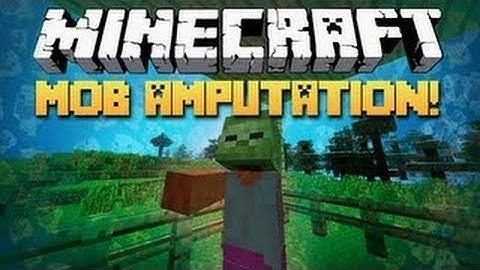 Minecraft: How To Install The Mob Amputation Mod 1.4.5