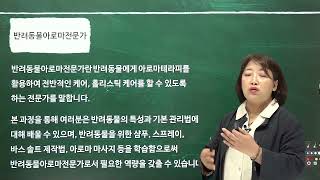 반려동물아로마전문가 짧은정보드림