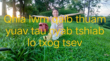 Nplooj Vaj qhia lwm qaib thuam yuav tau nyab tshiab lo txog tsev 18/07/2023