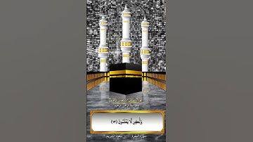 سورة البقرة ايه من ١١ إلى ١٥_ سعود الشريم