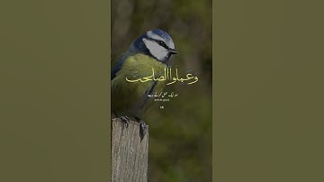 #quran #المصحف سورة العصر بصوت الشيخ محمد عبيدالله Surah al asr