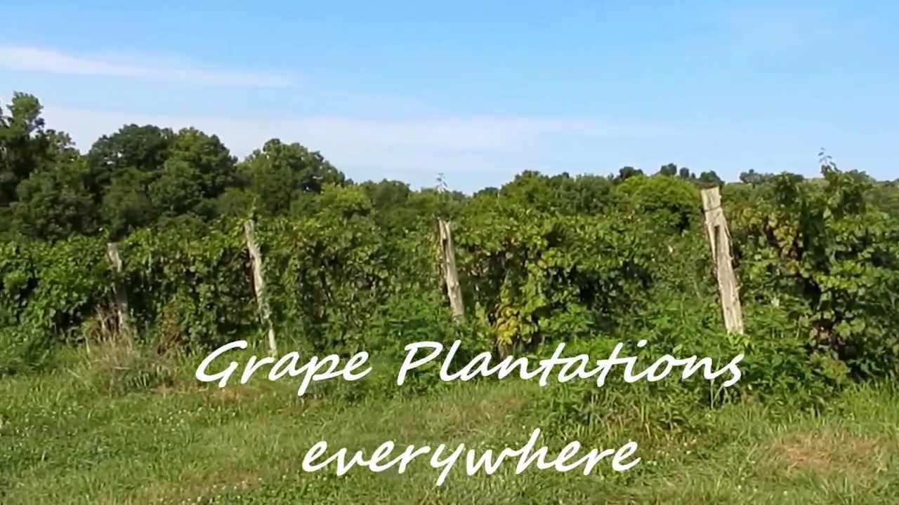 Broad run Winery trip , Louisville KY YouTube