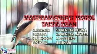 Masteran cendet trotol tanpa iklan #masterancendet