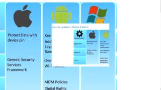 Security Considerations for the Mobile Platform