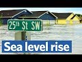 Will sea level rise drown our coastal cities?