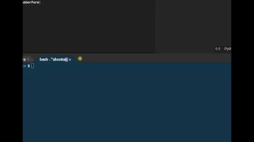 ISIN 305 Assignment 4 video