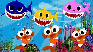 Baby Shark Song Pinkfong Baby Shark Dance Baby Shark Challenge Nursery Rhymes For Children