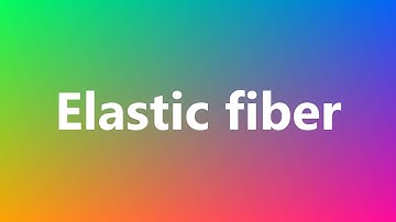 Elastic fiber - Medical Definition