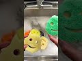 Get your home ready for the season with the Scrub Daddy... #Shorts #becks.edit