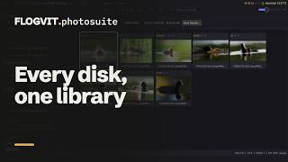 One library for every disk: browse, filter, shoots and duplicates | FLOGVIT.photosuite