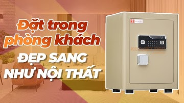 Mẫu Két Sắt Vân Tay Cao Cấp 2025 – Việt Tiệp SPM65 Đẹp Sang Chính Hãng, Dành Cho Gia Đình Hiện Đại