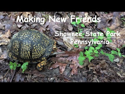 Making New Friends ~ Shawnee State Park, PA