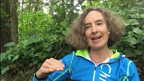 Alice Diffely - Master ChiRunning Instructor in Po...