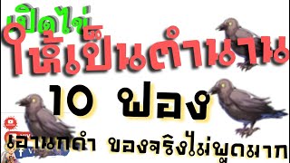 เปิดไข่ให้เป็นตำนาน 10 ฟอง หานกดำของจริงไม่พูดมากกก | Ragnarok Gravity screenshot 4