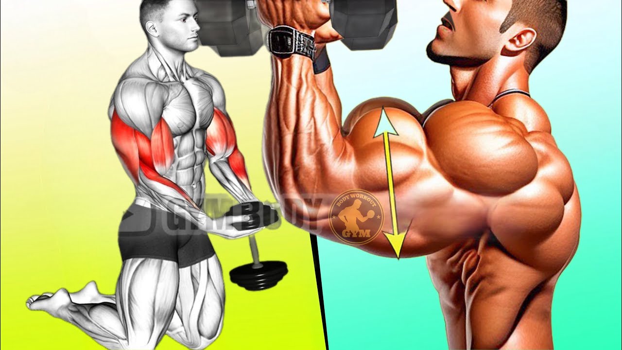 8 Exercises To Get Bigger Arms (biceps & triceps) - YouTube