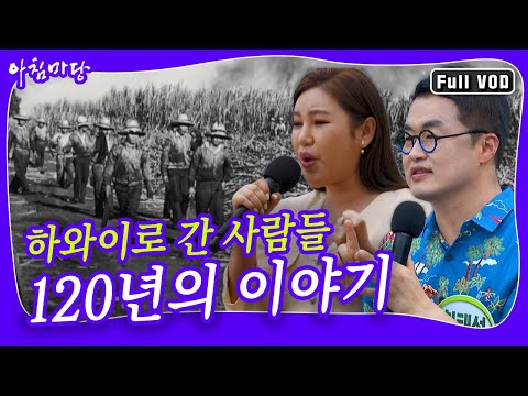 [아침마당] 공영방송 50주년 기획 <strong>하와이로</strong> 간 사람들, 120년의 이야기 KBS 230227 방