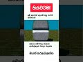 දෙකම අලු පාටයි බන්...🤔🤨