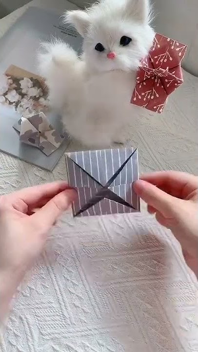 how-to-make-things-with-paper-for-cat-diy-craft-paper-craft