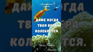 Христианские цитаты Чарльз Сперджен