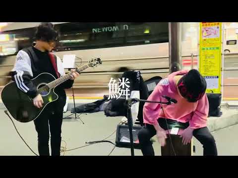 突然カホンを叩き出した優里くん！！！　鱗 / 秦基博 covered by 優里&マサ