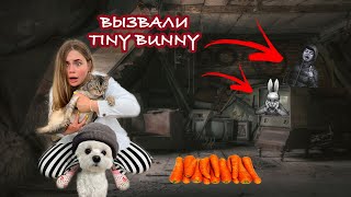 TINY BUNNY в РЕАЛЬНОЙ ЖИЗНИ | ВЫЗВАЛИ ДУХ КРОШЕЧНОГО КРОЛИКА В САРАЕ С КОТОМ И СОБАКОЙ