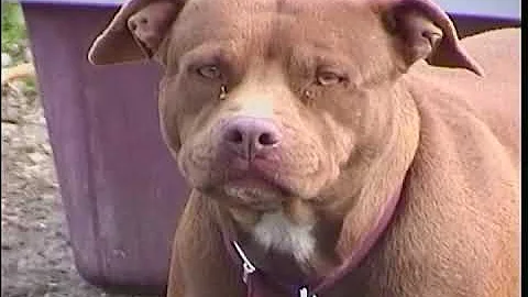 43e98427a2f39a2847f85e193376a32af