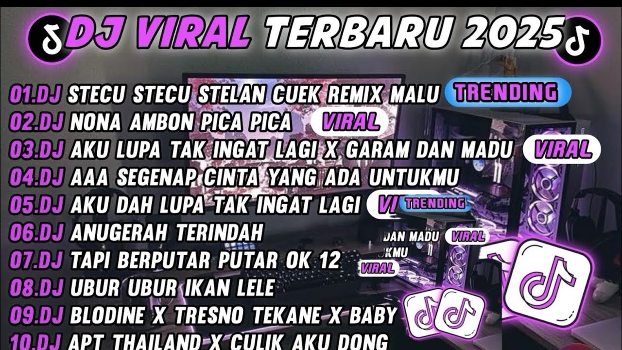 DJ TIKTOK TERBARU 2025-🎵 DJ DJ STECU STECU STELAN CUEK REMIX 🎵 DJ COBA COBA JALANIN DULU FULL ALBUM